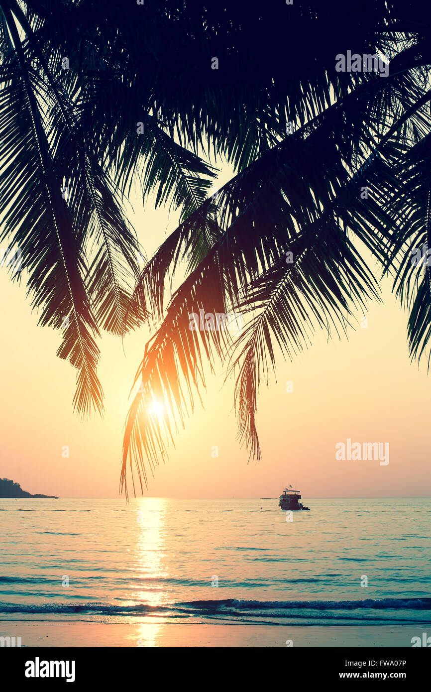 Beautiful sunset in the subtropics Stock Photo - Alamy