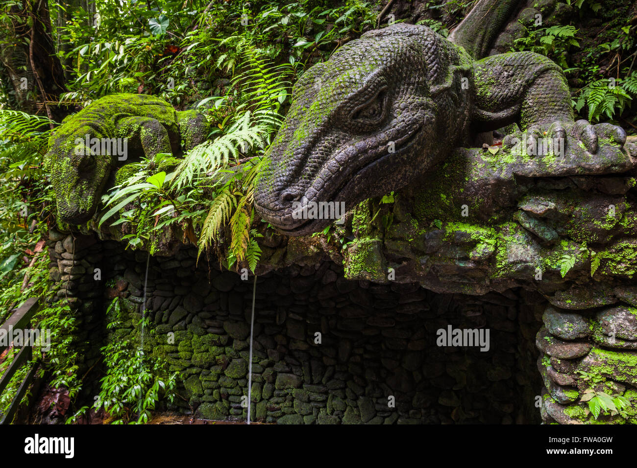 Giant Lizard in Sacred Monkey Forest Sanctuary, Ubud, Bali, Indonesia Stock Photo