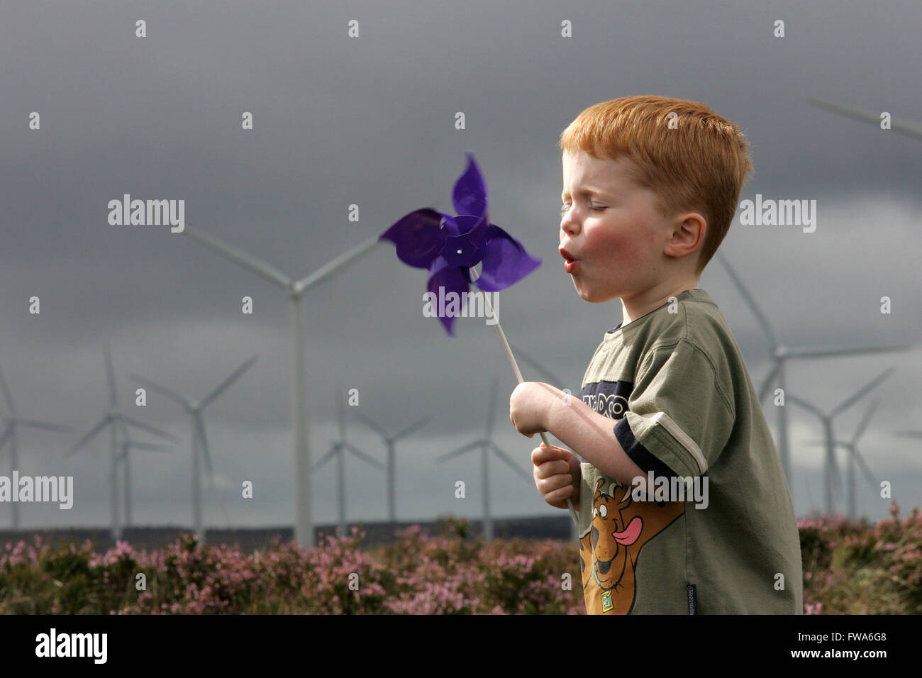 young boy playing with windmill on wind farm Stock Photo