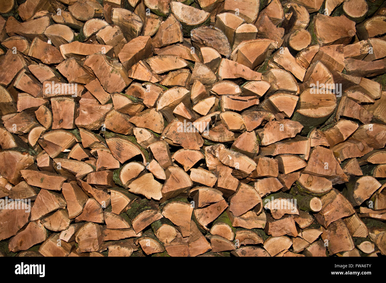 Logs for firewood Stock Photo Alamy