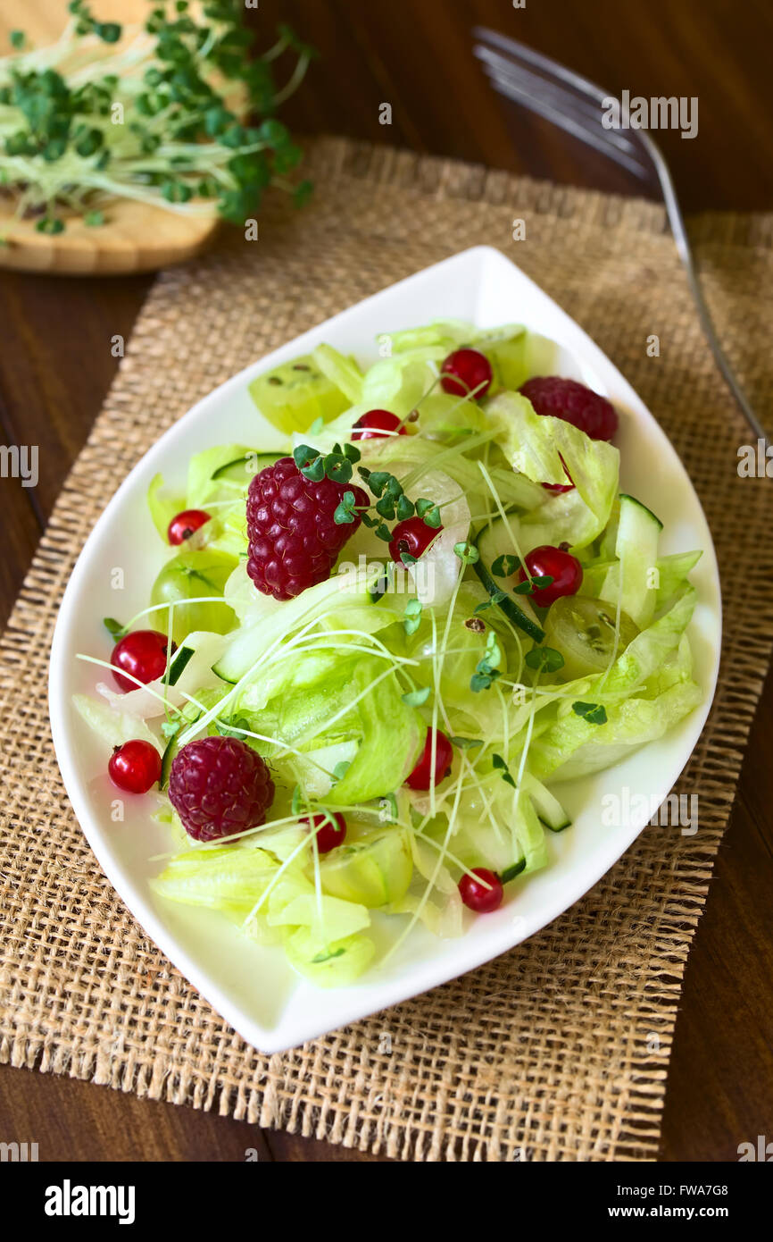 Fresh salad of raspberry, gooseberry, red currant, cucumber and iceberg ...