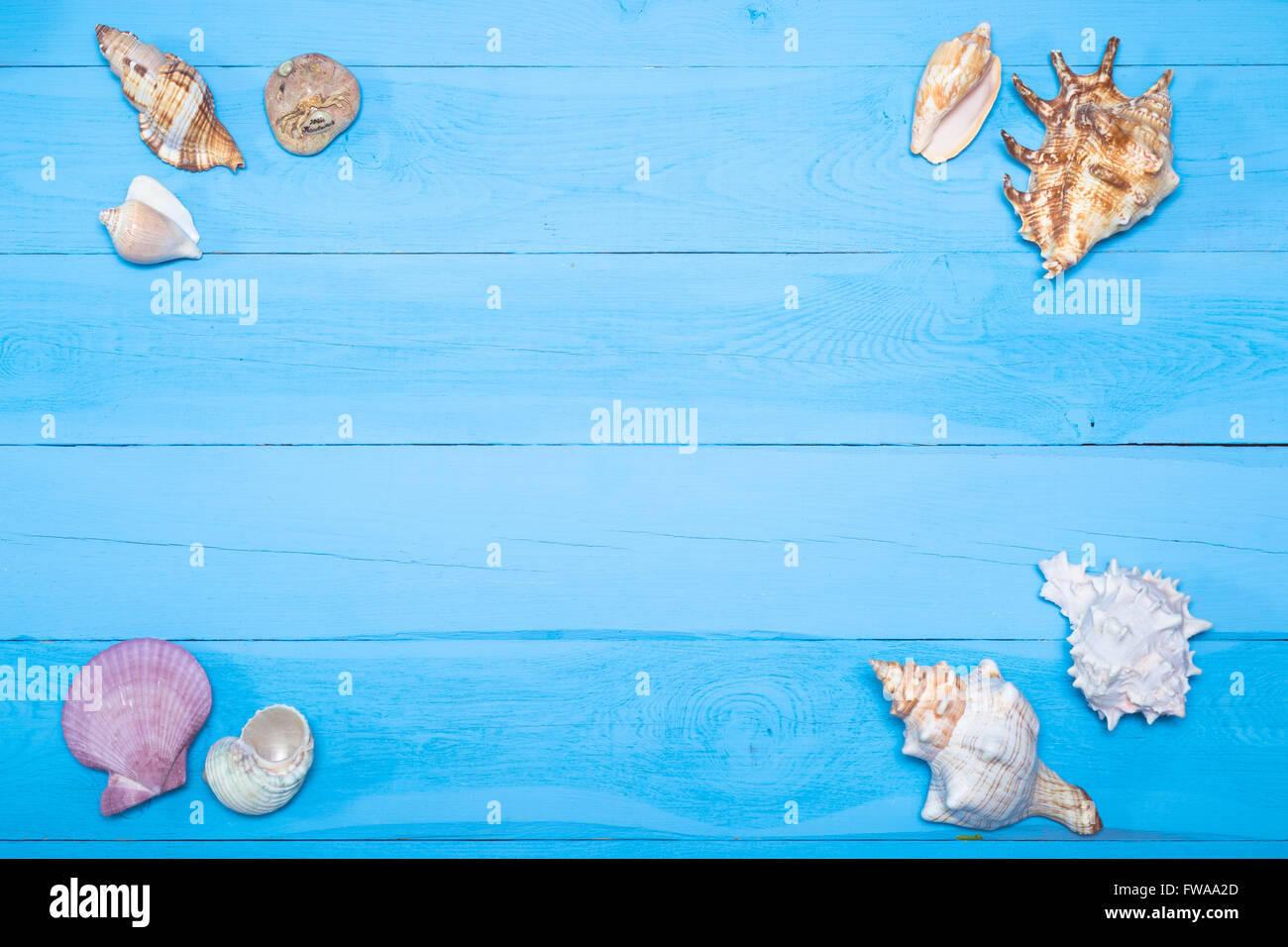 Nautical Shell Border Delicate nautical border with sea shells on a background of colourful ...
