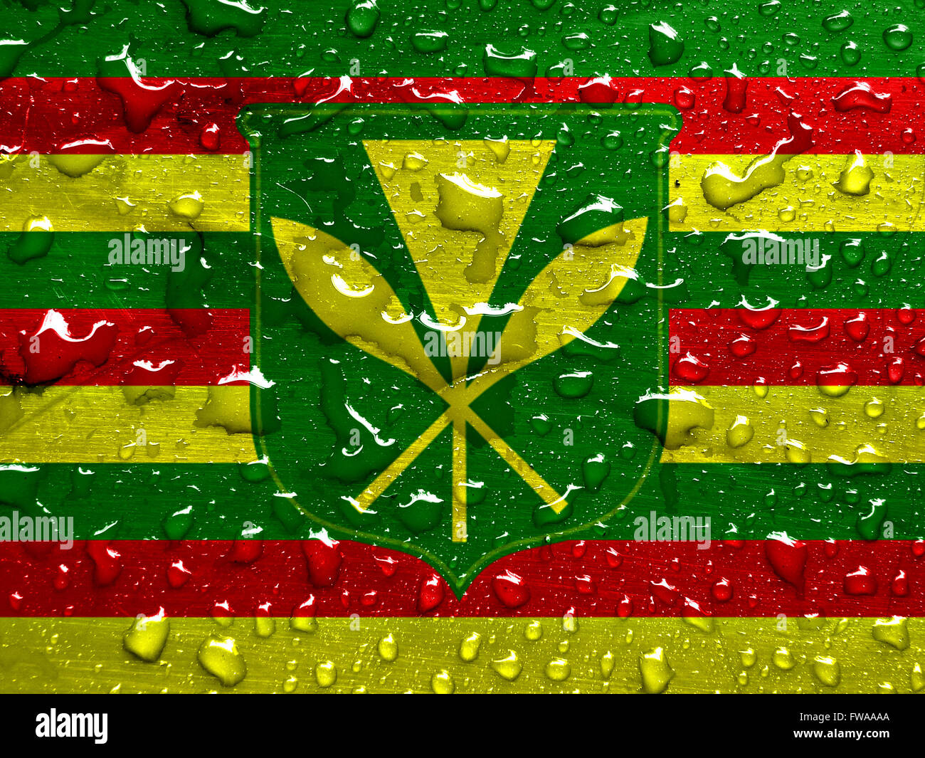 Native flag design hi-res stock photography and images - Alamy