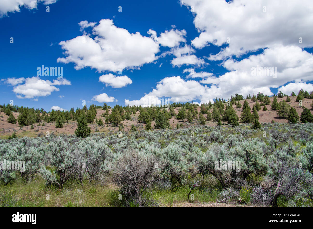 WHite clouds over a view of western prairie with sagebrush Stock Photo