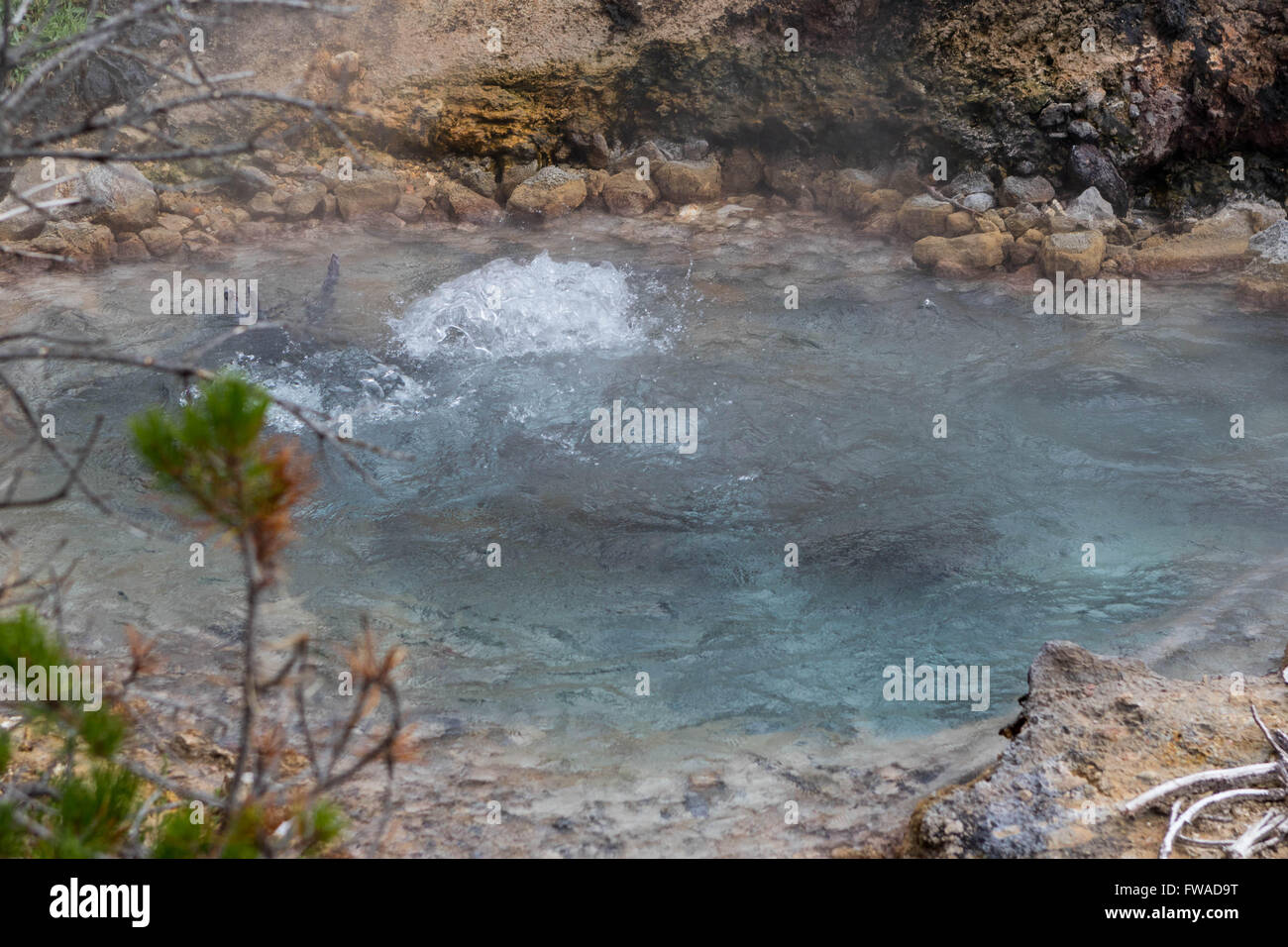 Artists Paint Pots, Yellowstone National Park Stock Photo Alamy