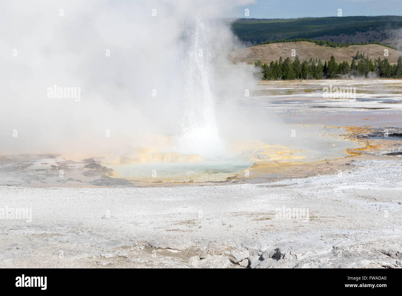 Lower Geyser Basin, Fountain Paint Pot, Yellowstone National Park Stock