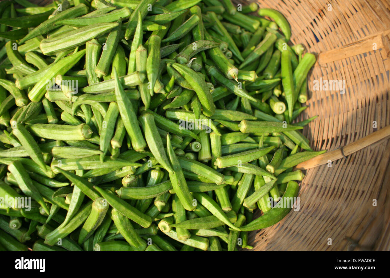 Okra seeds hires stock photography and images Alamy