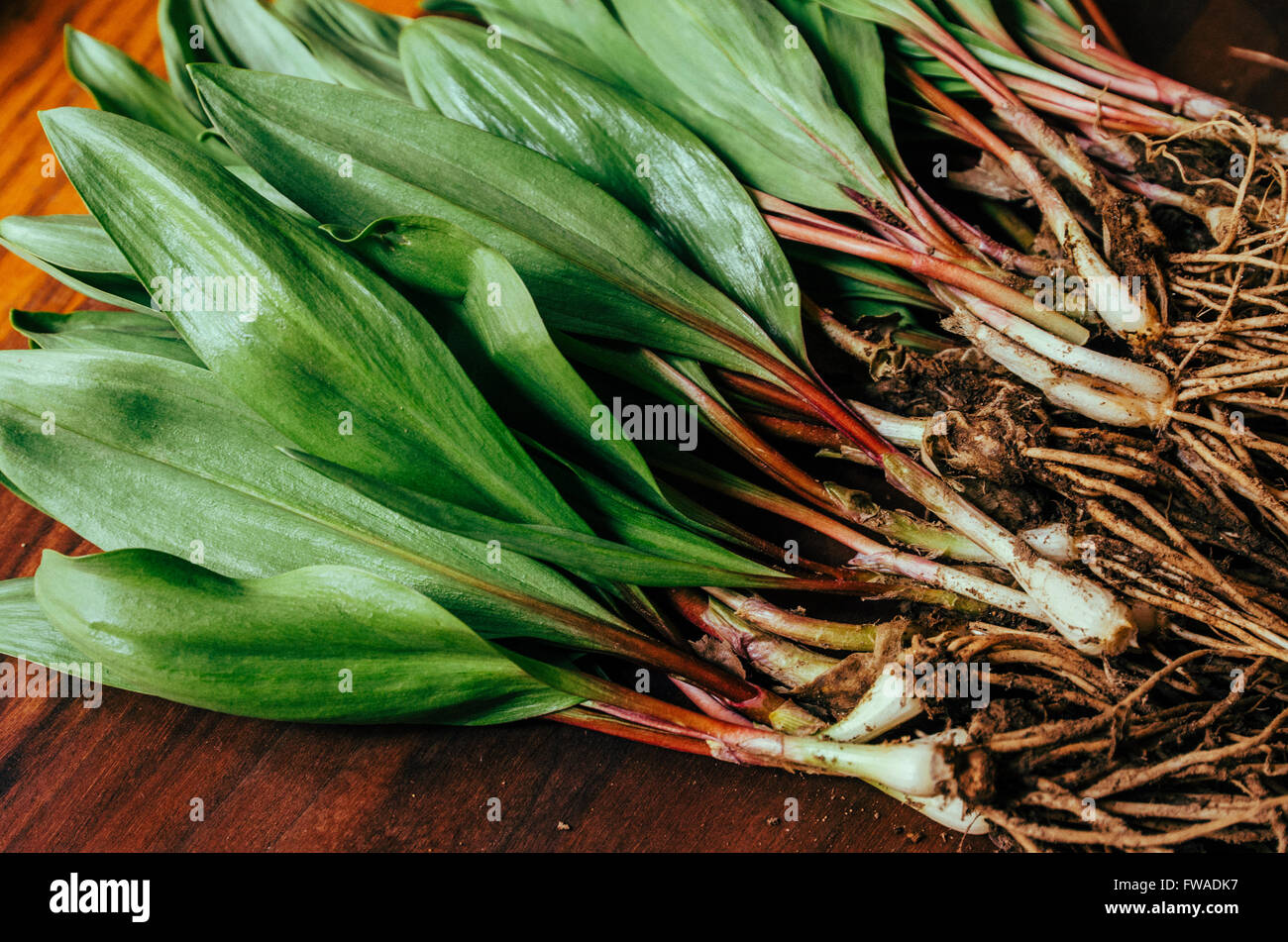 What Are Ramps And How Are They Used? How To Cook Ramps, 47 OFF