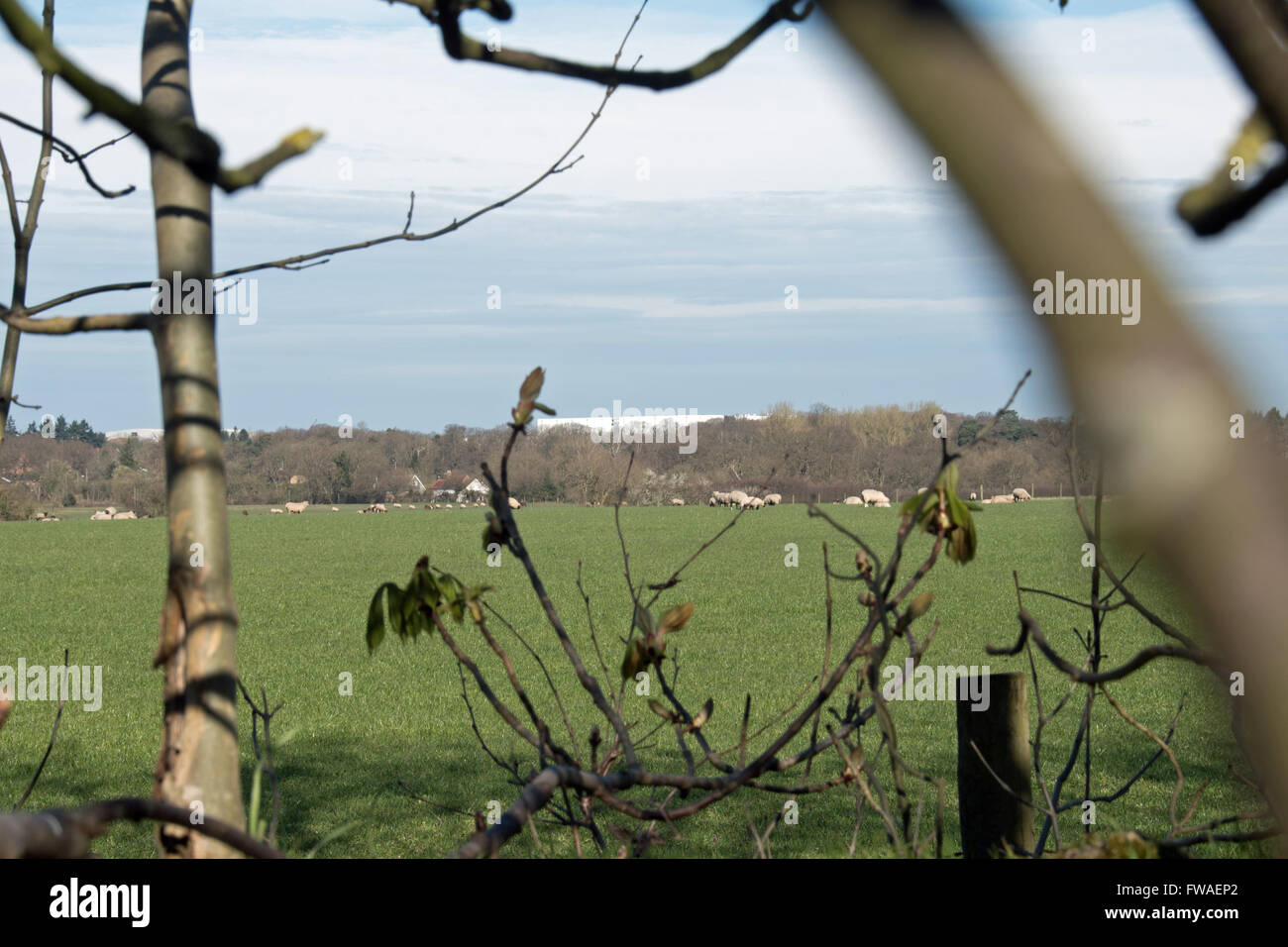 The new studios development at Pinewood Studios, Iver Heath, built on
