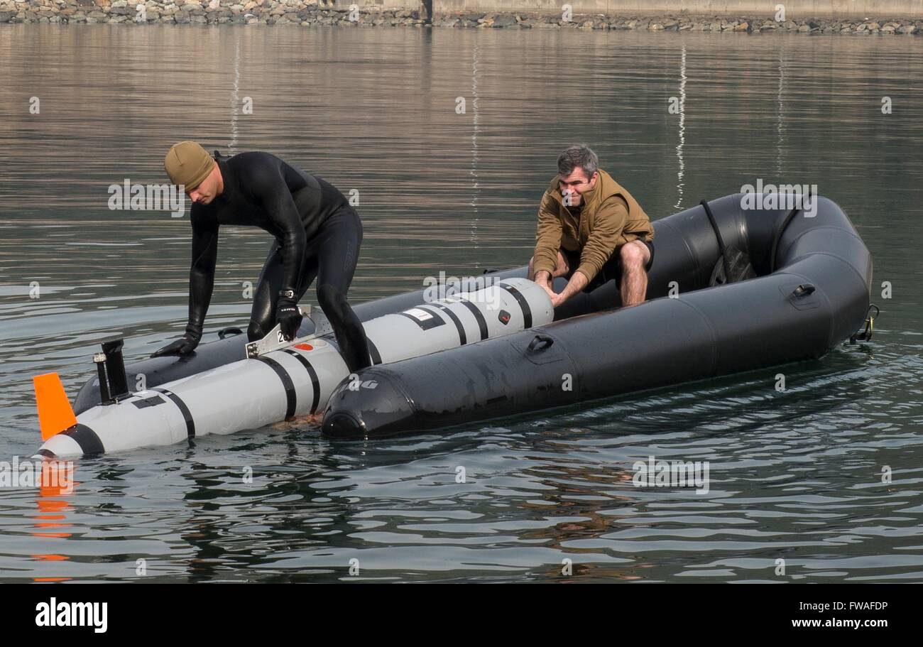 U.S. Navy Explosive Ordnance Disposal sailors pull a MK18 Mod 2 unmanned  underwater vehicle onto a tow sled during exercise Foal Eagle March 31,  2016 in Jiinhae-Gu, Republic of Korea. The UUV