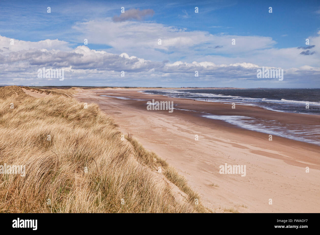 Dunes at Druridge Bay, Northumberland, England, UK Stock Photo