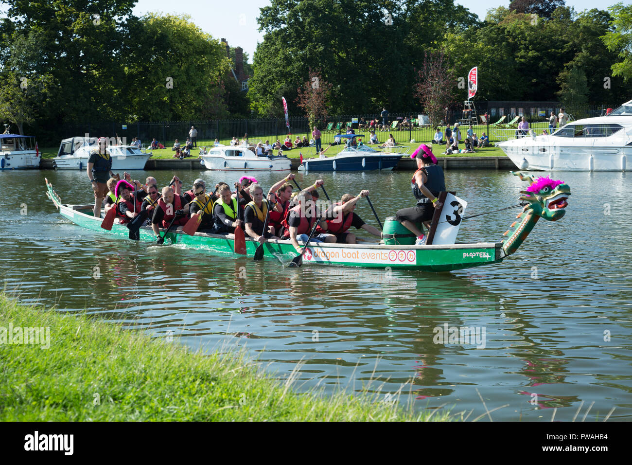 Crew paddling to the start of a dragon boat race Stock Photo