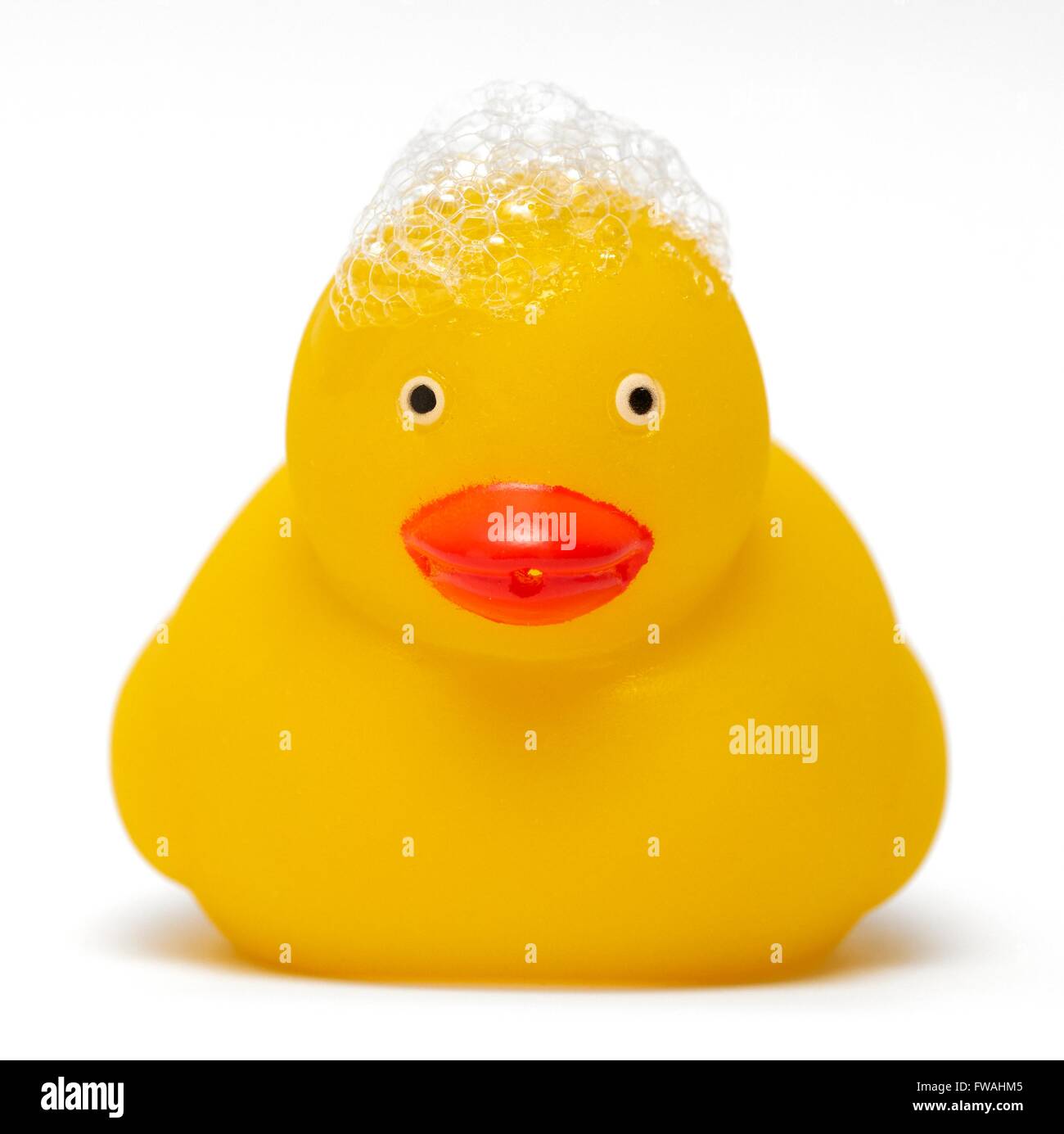 A toy yellow duck  with soap suds on top Stock Photo