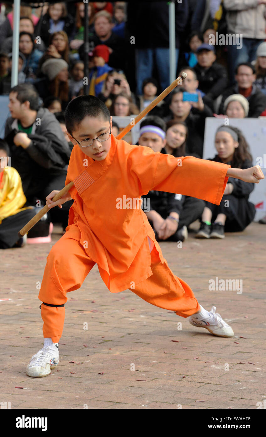 Martial Arts demonstration, Chinese New Year Celebration, International