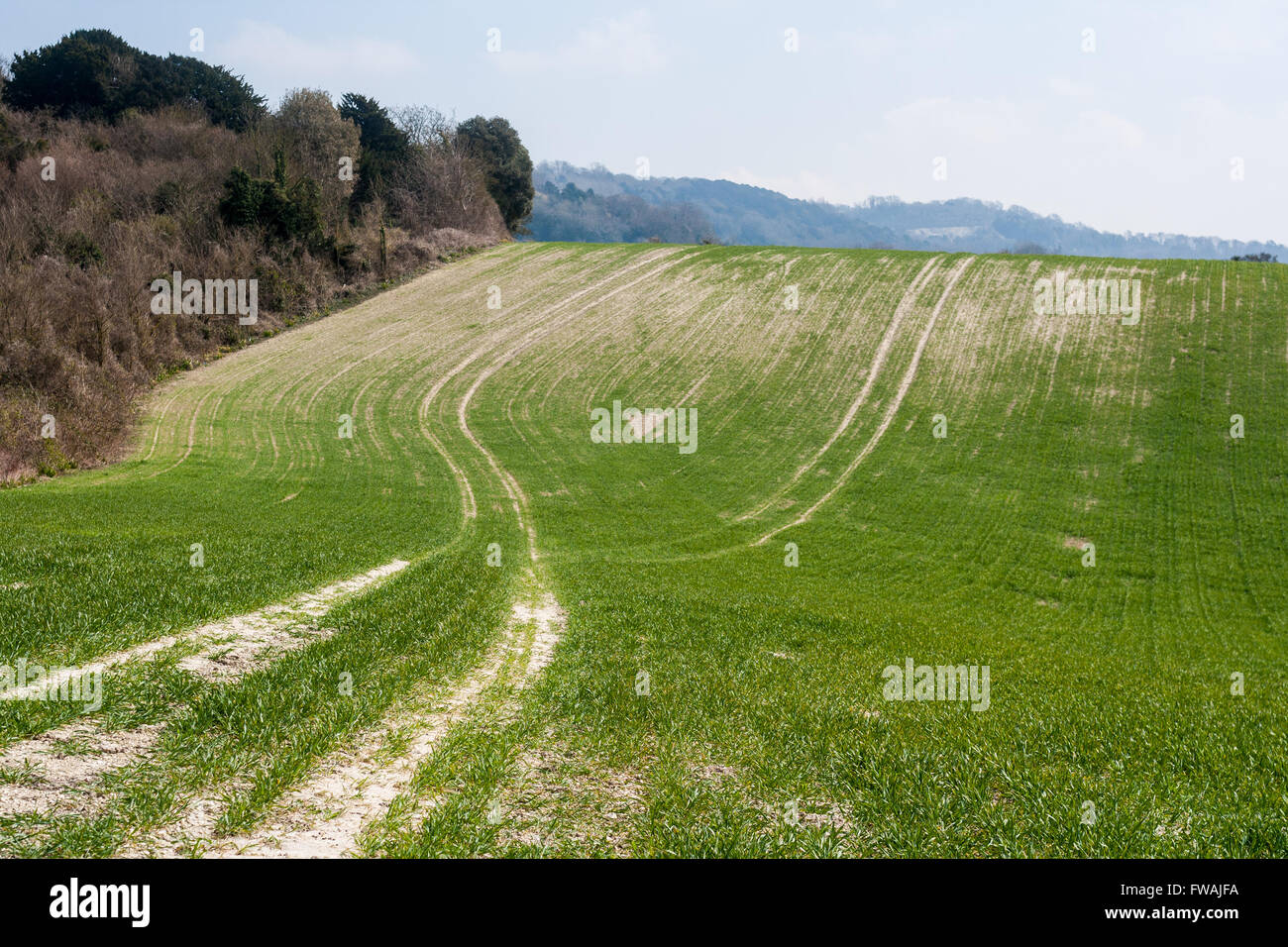 Green sloping fields on the edge of the North Downs, Kent with chalk tracks leading into the distance Stock Photo