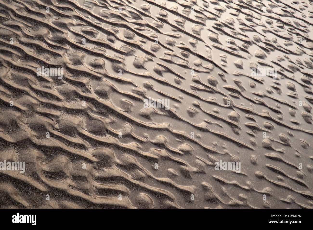 High contrast sand pattern on the beach at Yellowcraig, North Berwick, East Lothian, Scotland. Stock Photo