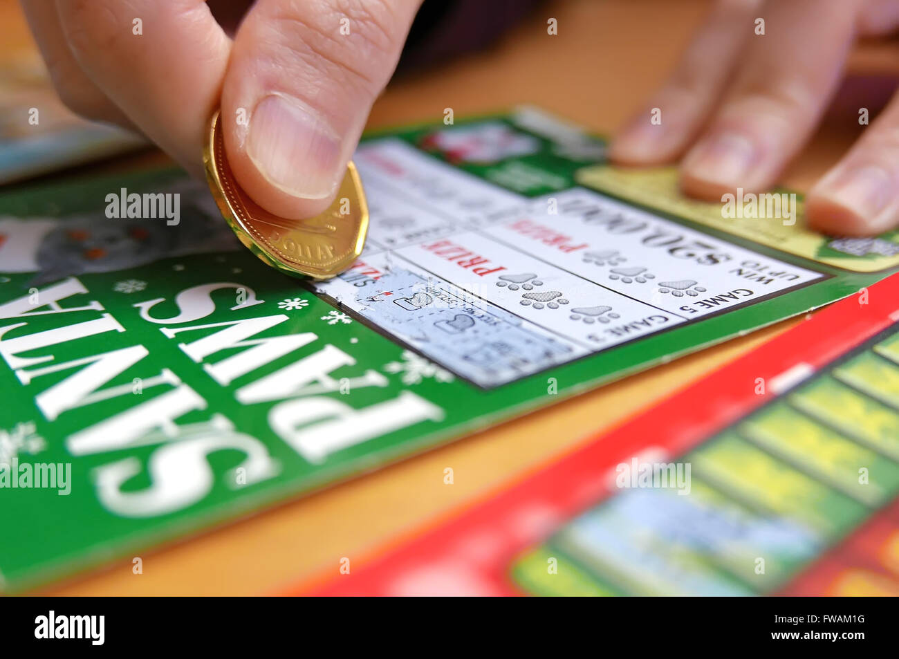 Coquitlam BC Canada - January 24, 2015 : Woman scratching lottery tickets. The British Columbia Lottery Corporation has provided Stock Photo