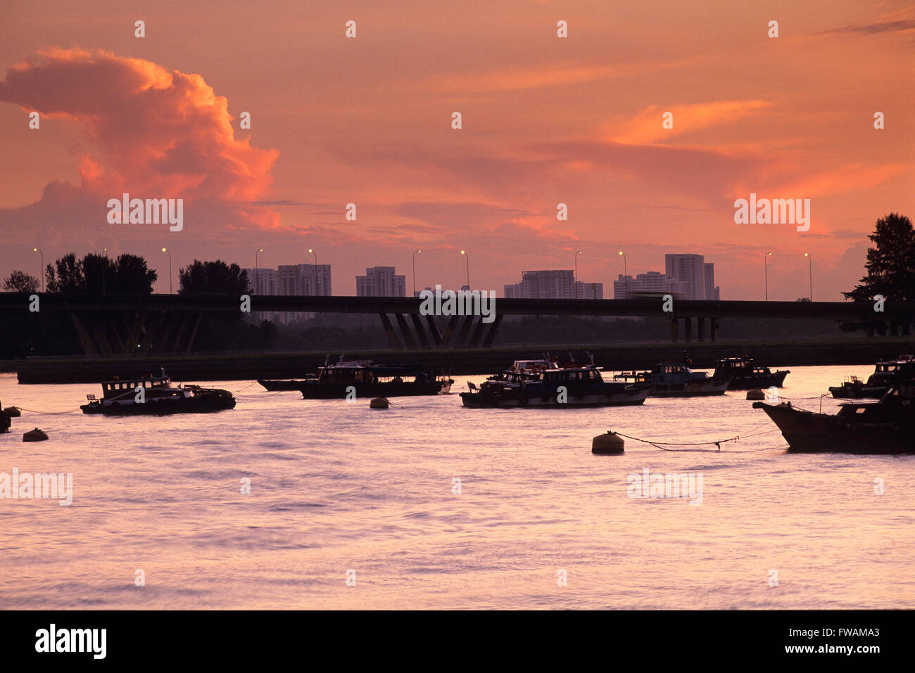 Singapore city skyline view hi-res stock photography and images - Alamy