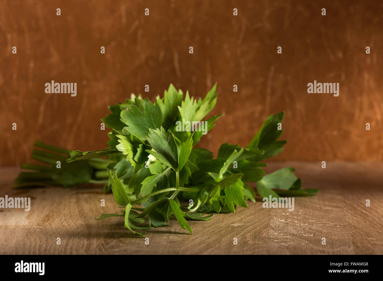 Fresh green aromatic bunch of lovage on a wood cutting board Stock Photo
