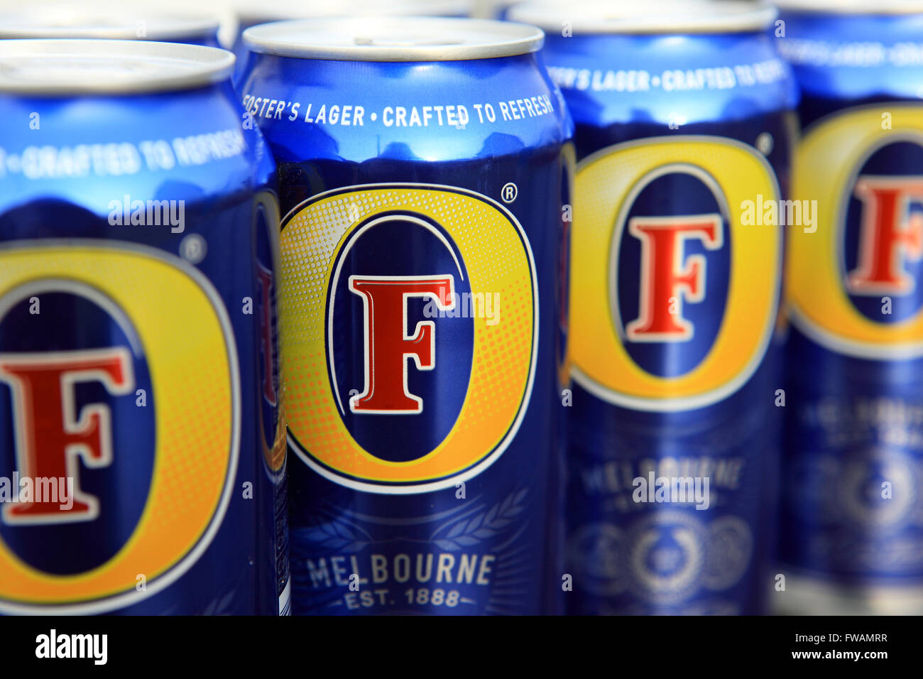 Cans of Fosters Australian Lager Stock Photo Alamy