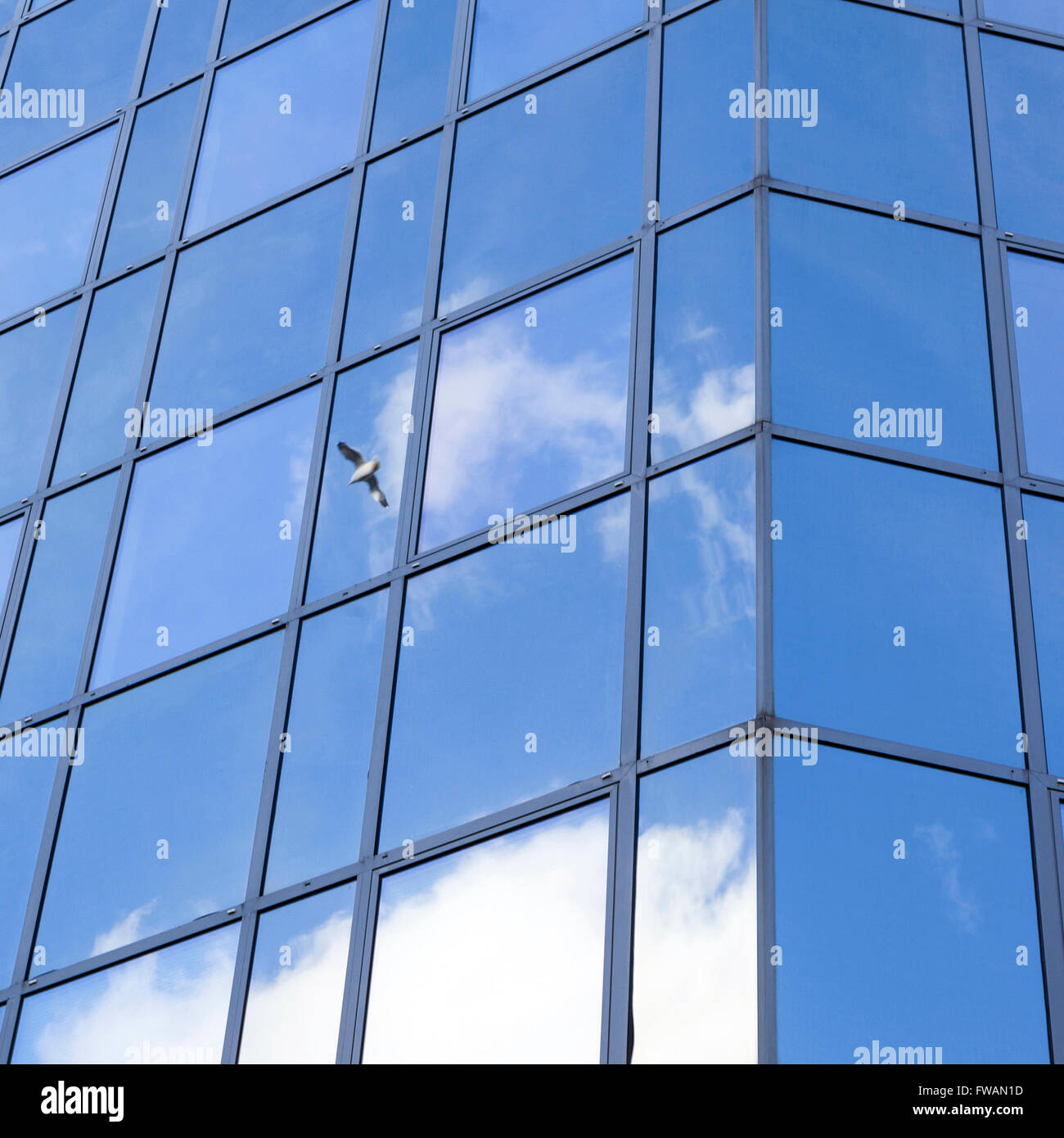 glass office facade reflects clouds and blue sky Stock Photo - Alamy