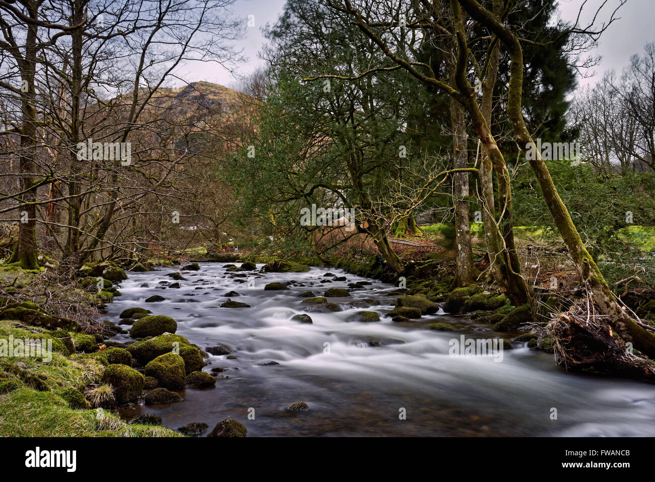 UK,Cumbria,Lake District, River Rothay near Rydal Water Stock Photo