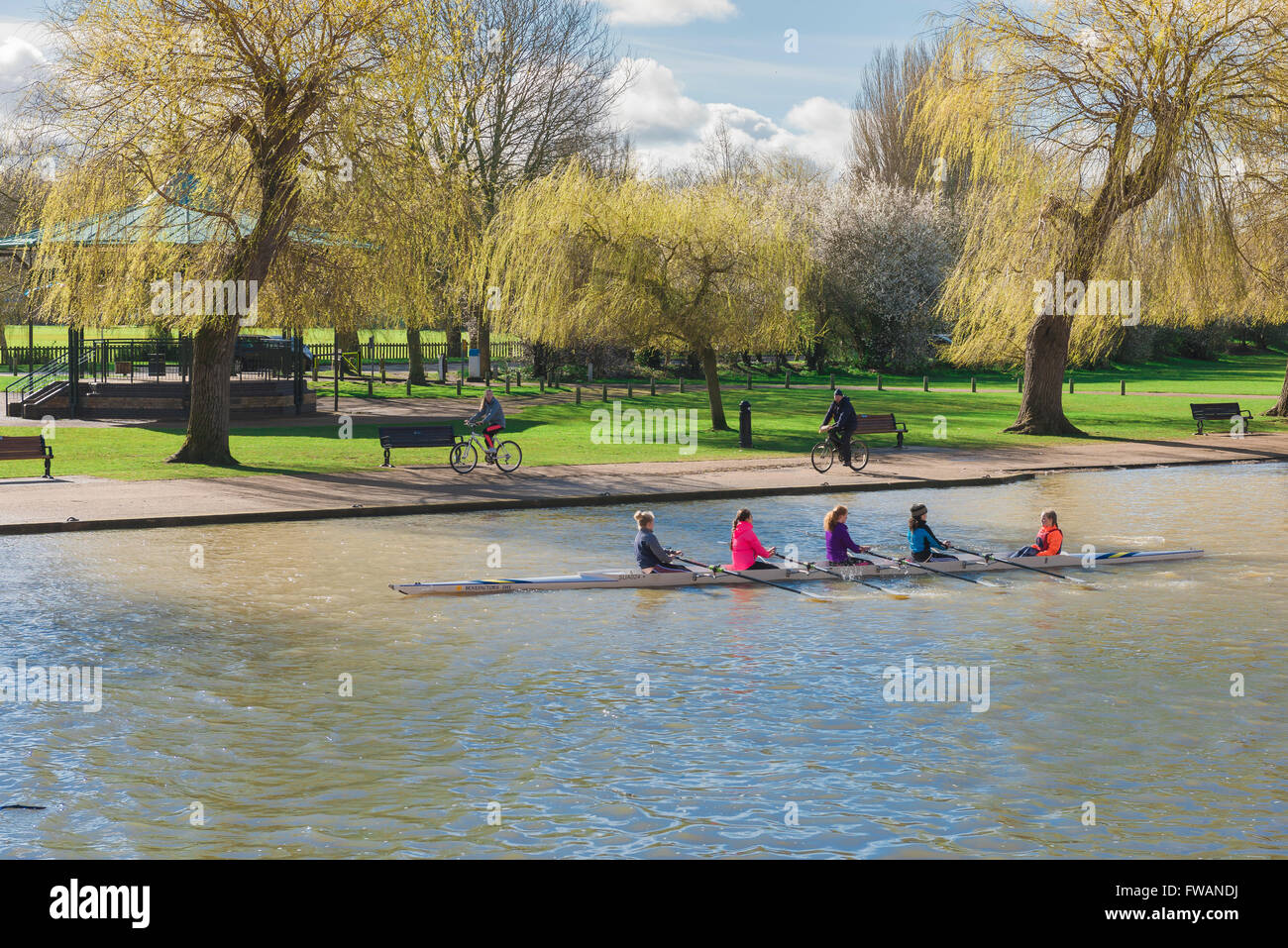 Women rowing, view of a women's rowing team training on the River Avon in the centre of Stratford Upon Avon, England, UK. Stock Photo