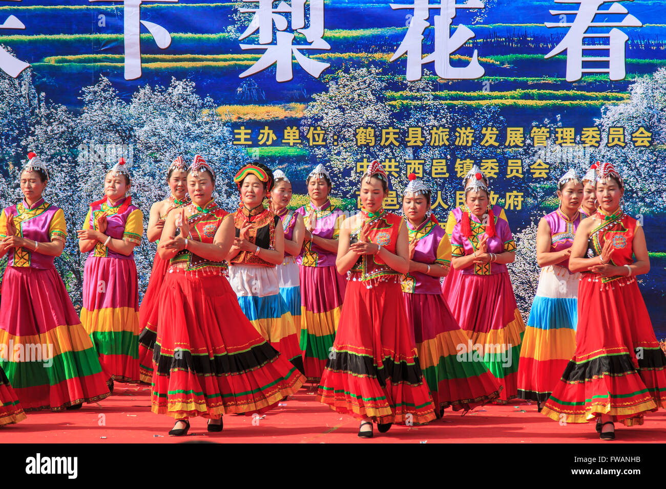 Heqing, China - March 15, 2016: Chinese women dressed with traditional clothing dancing and singing during the Heqing Qifeng Pea Stock Photo