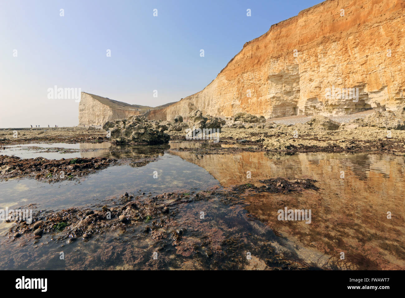 Seaford Head, East Sussex. England, UK. 2nd April 2016. A fine day on the Sussex coast, with the golden limestone cliffs reflected in a rockpool on the beach at Seaford Head. Credit:  Julia Gavin UK/Alamy Live News Stock Photo