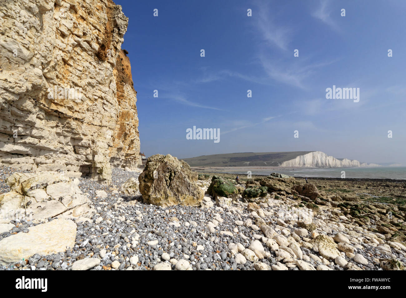 Seaford Head, East Sussex. England, UK. 2nd April 2016. A fine day on the Sussex coast at Seaford Head with the stunning views along the beach to the Seven Sisters chalk cliffs. Credit:  Julia Gavin UK/Alamy Live News Stock Photo