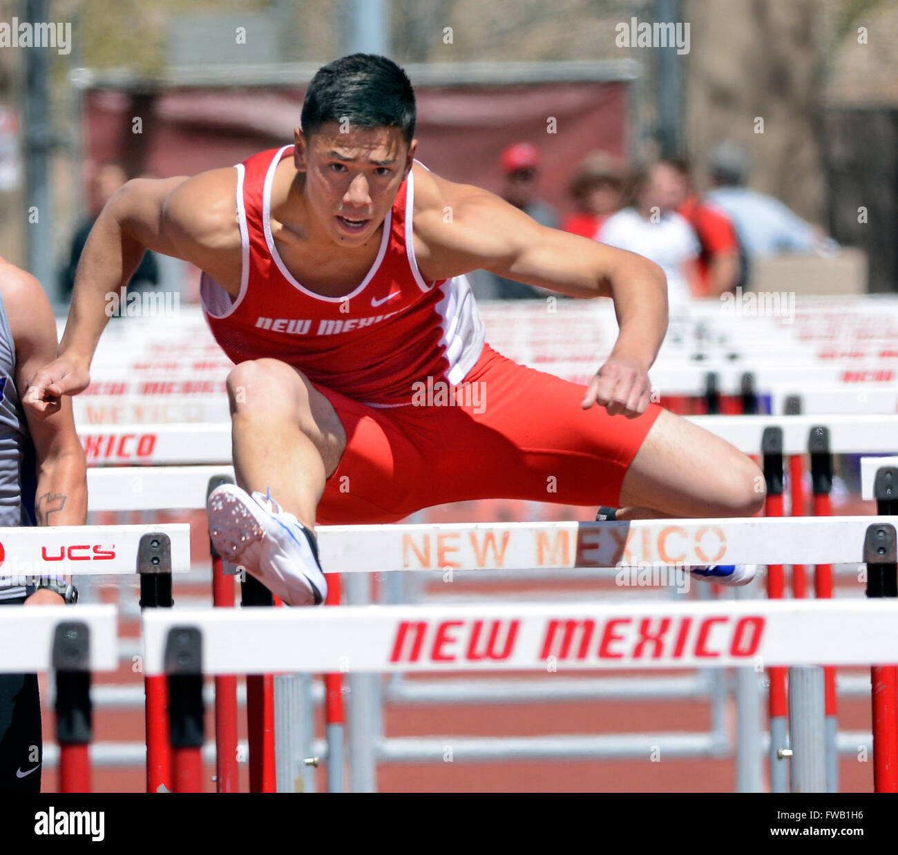 Albuquerque, NM, USA. 2nd Apr, 2016. UNM's Daniel Lam goes in the men's 100 high hurdles. Saturday, April. 02, 2016. © Jim Thompson/Albuquerque Journal/ZUMA Wire/Alamy Live News Stock Photo