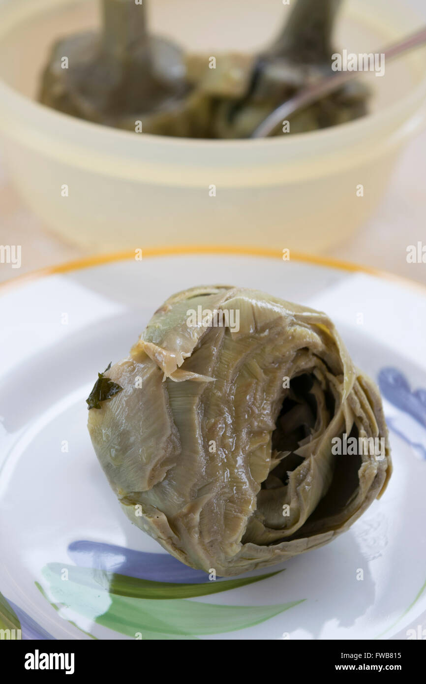 stew artichokes at the roman a jewish recipe Stock Photo Alamy