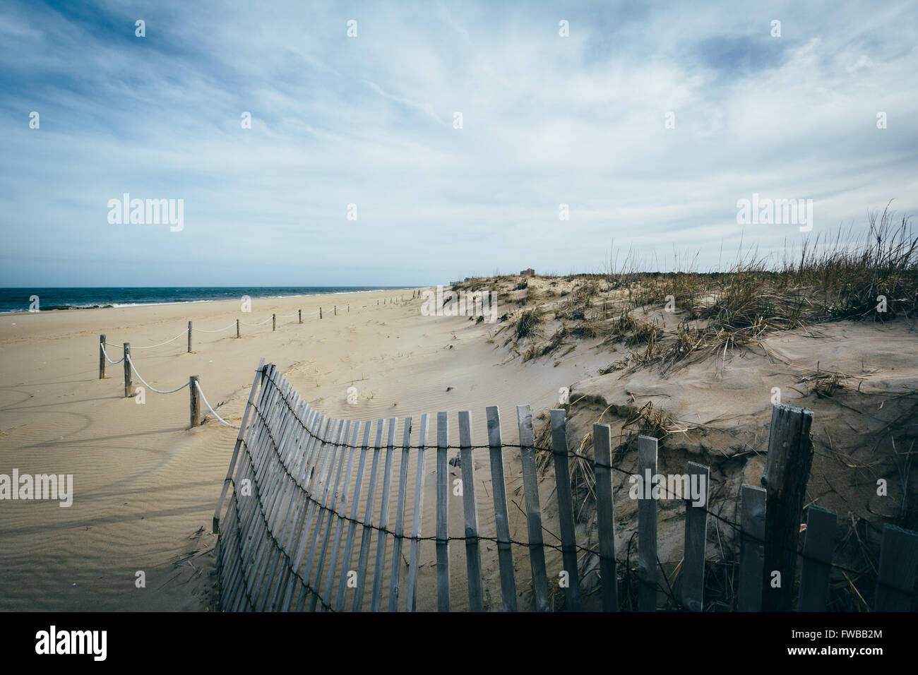 Fence and sand dunes at Cape Henlopen State Park in Rehoboth Beach, Delaware. Stock Photo
