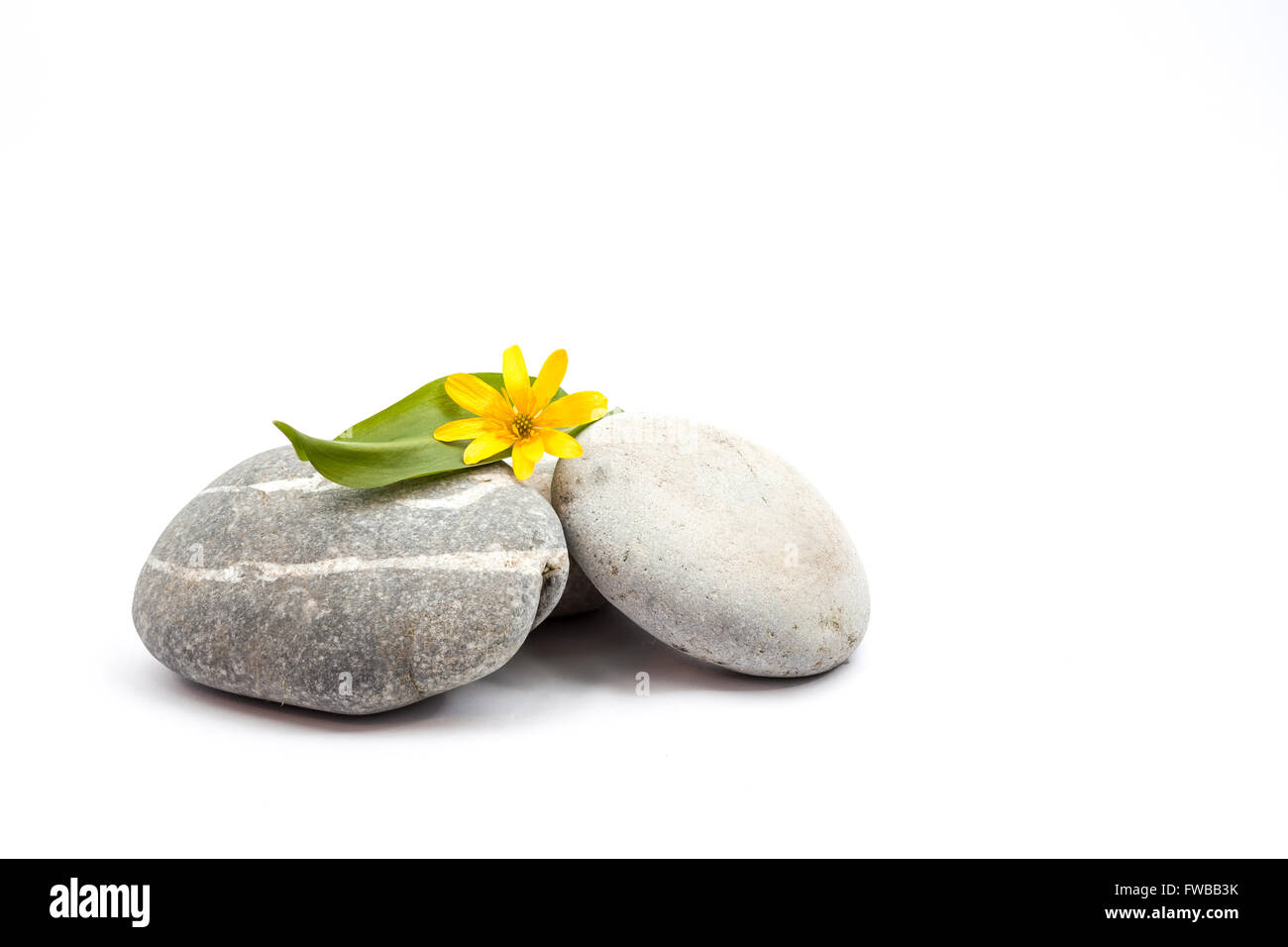 Pebbles with flower theme for Ayurveda on an white background Stock Photo -  Alamy
