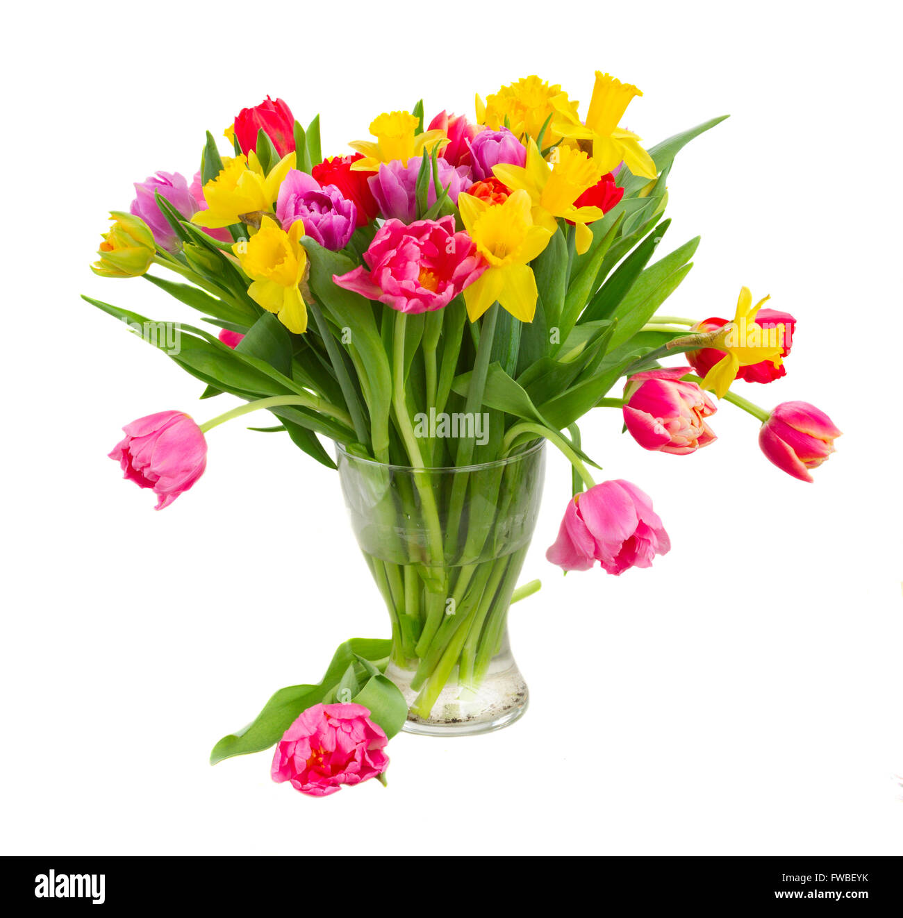 bouquet of tulips and daffodils Stock Photo - Alamy