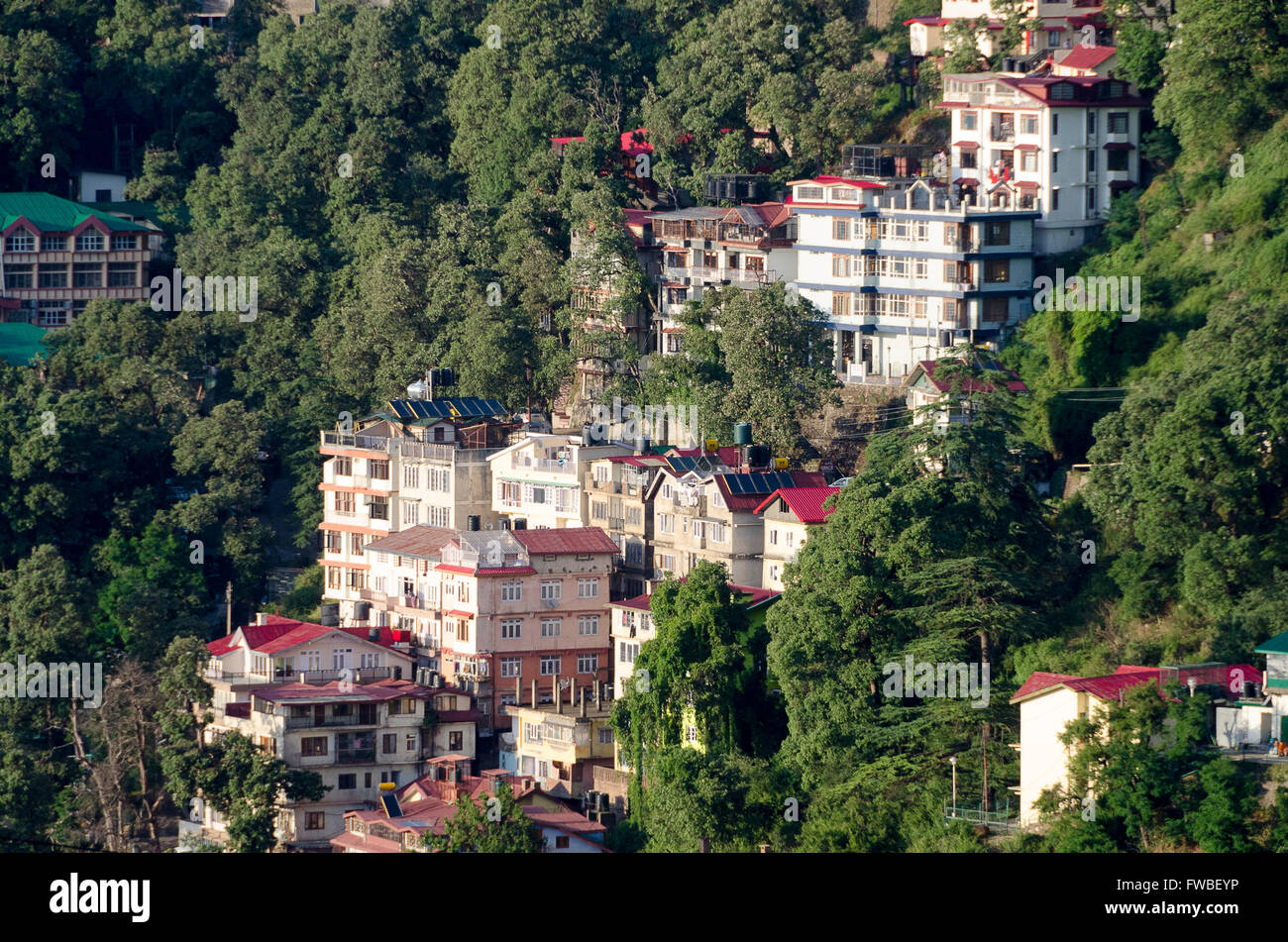 Houses on hillside, Shimla, Himachal Pradesh, India. Stock Photo