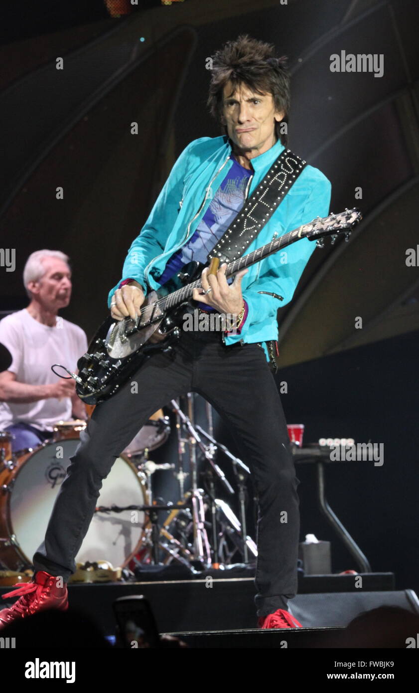 Rolling Stones ,Ron Wood , Charlie Watts  Buffalo NY  7/11/2015                                  photo Michael Brito Stock Photo
