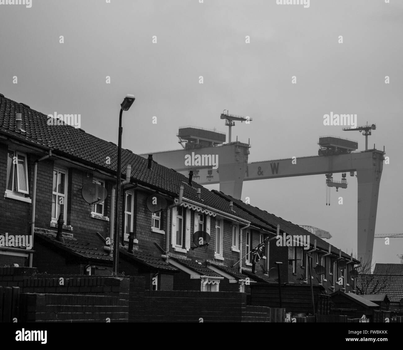 Samson and Goliath dominate the Belfast skyline Stock Photo Alamy