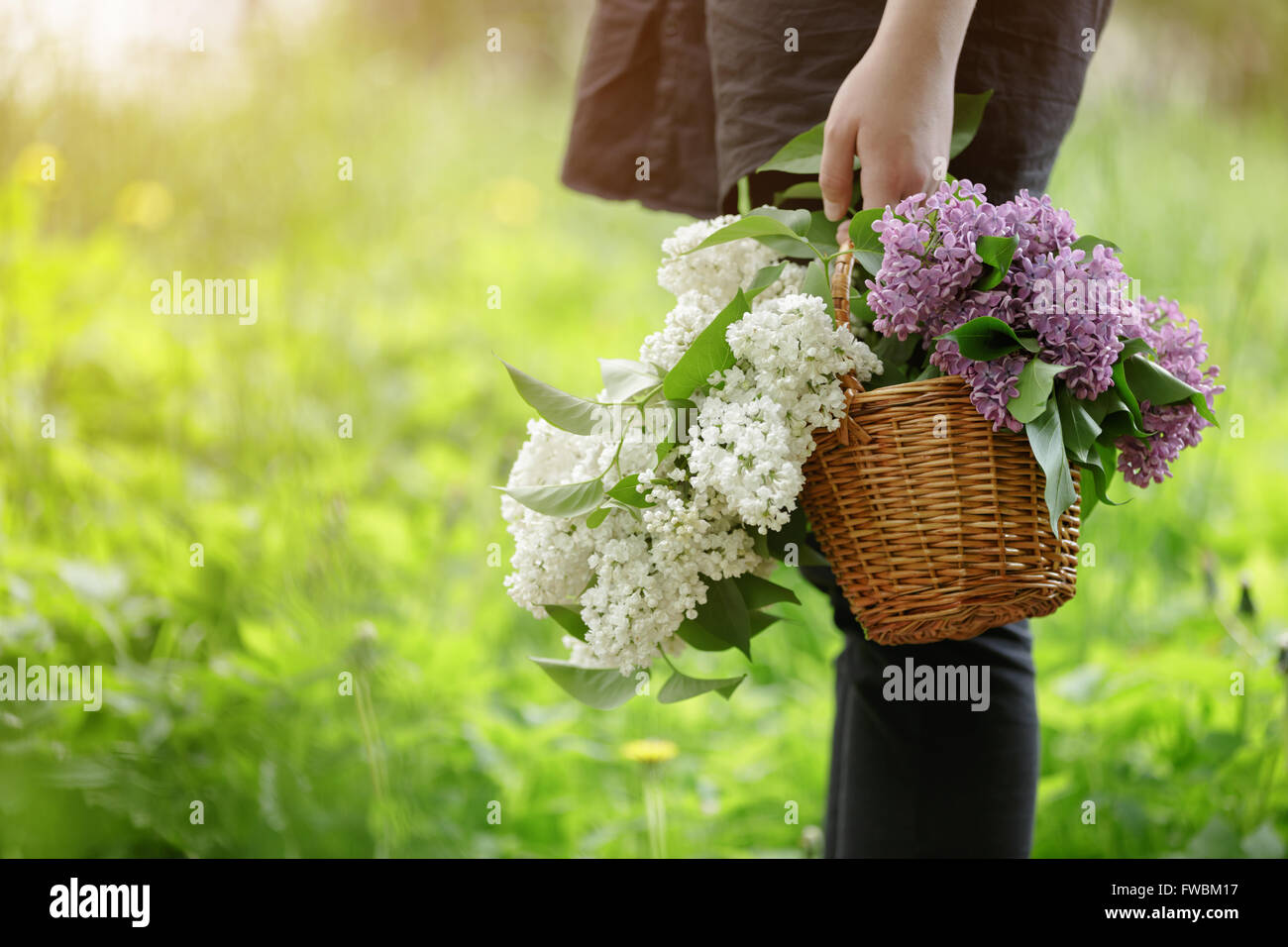 female teen girl hold basket full of lilac flowers Stock Photo