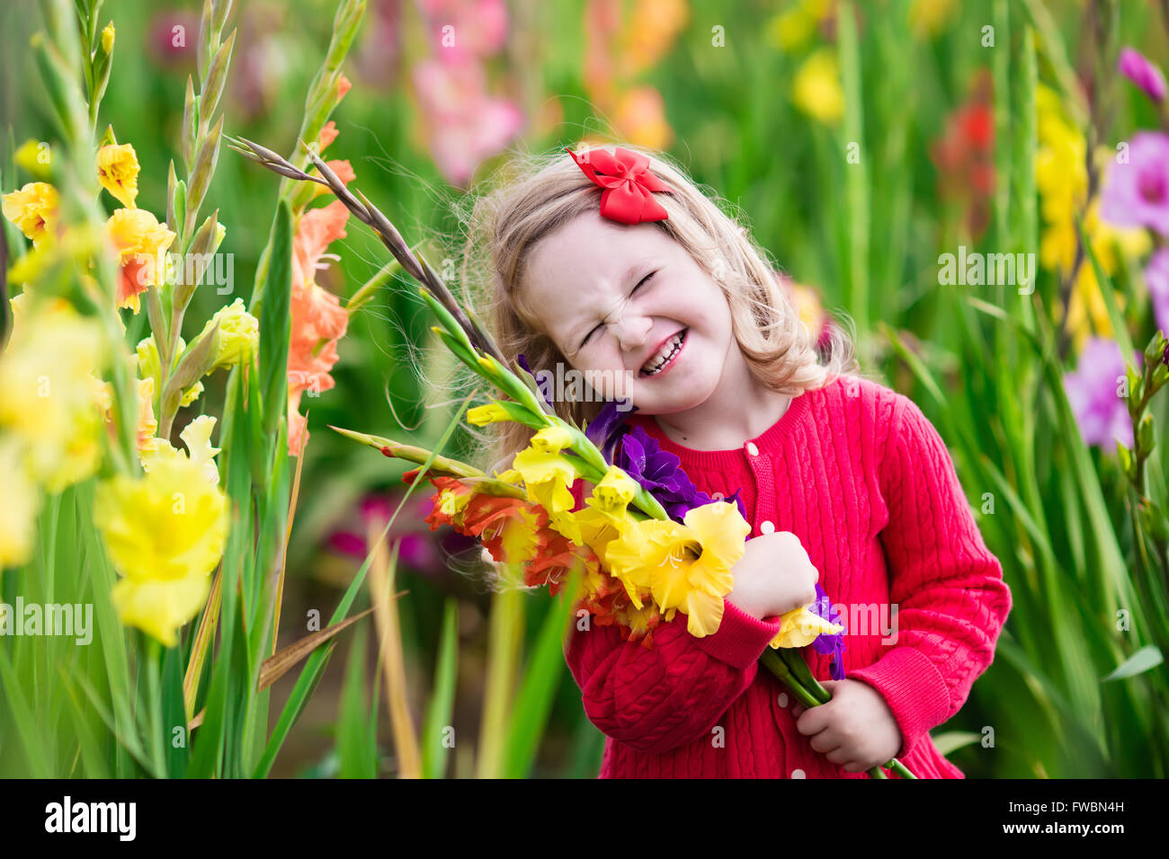 Little girl holding gladiolus flower bouquet. Child picking fresh flowers  in the garden. Children gardening in autumn Stock Photo - Alamy