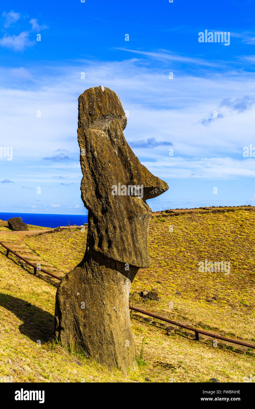 Moai at the Rano Raraku Quarry on Easter Island, Chile Stock Photo