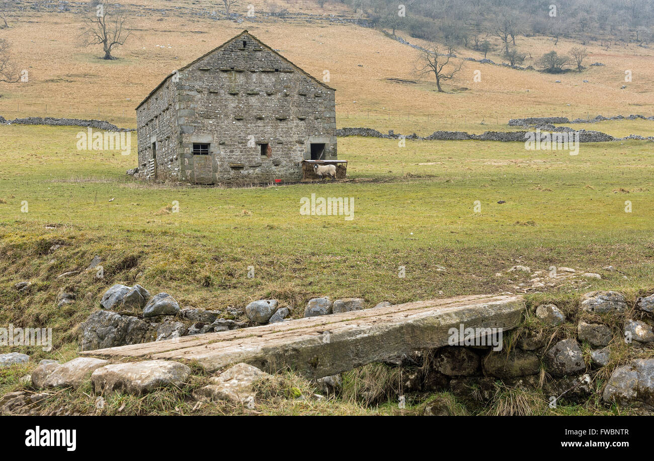 Stone bridge yorkshire dales hi-res stock photography and images - Alamy
