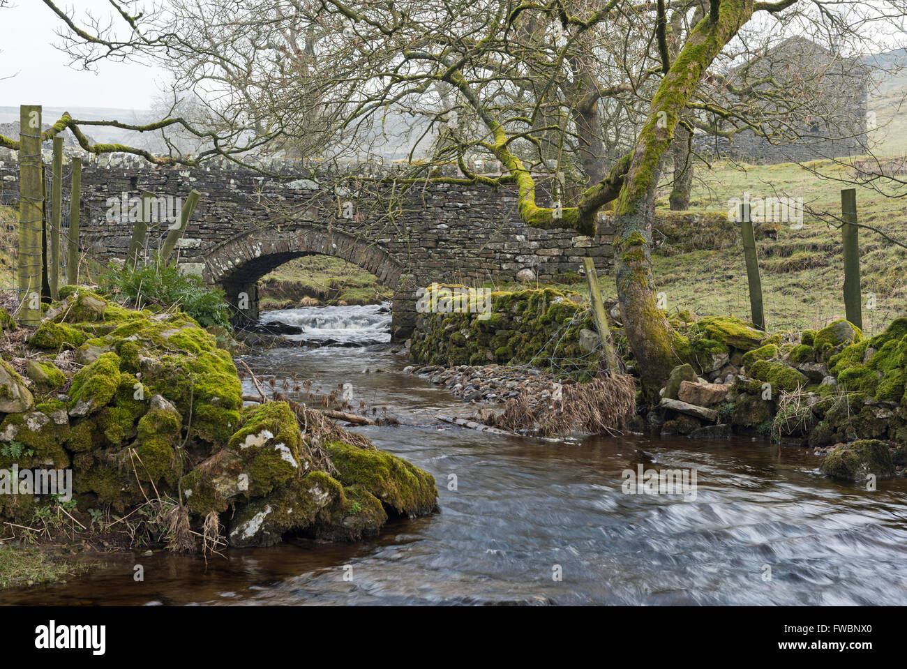 Stone bridge yorkshire dales hi-res stock photography and images - Alamy