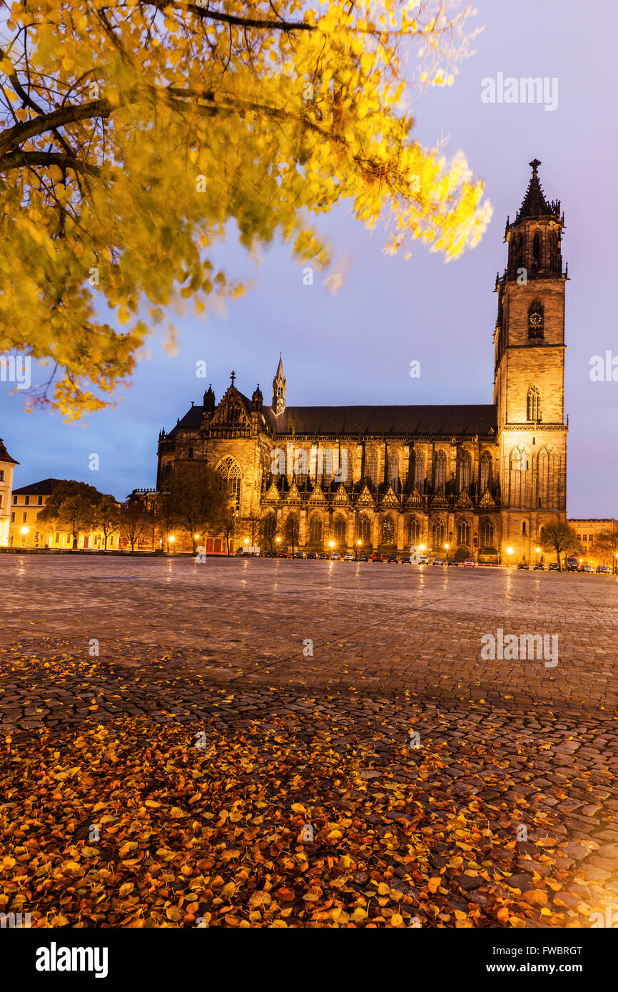 Magdeburg Cathedral Stock Photo