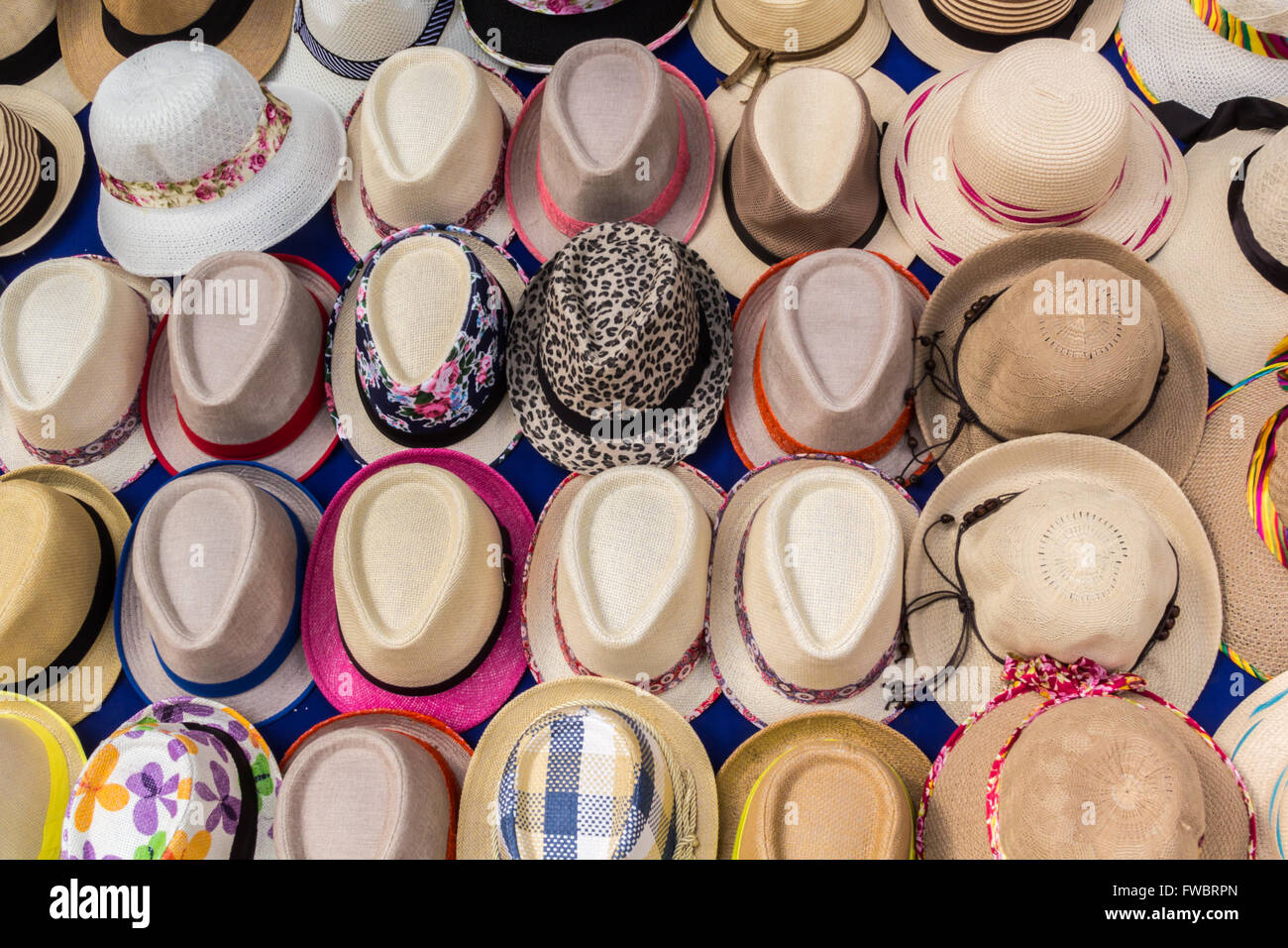 panamanian straw hats