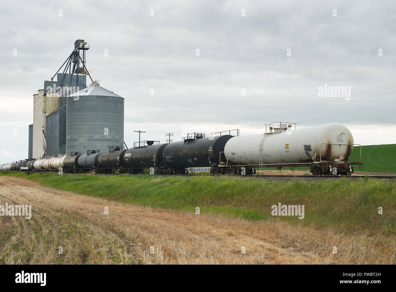 Railroad train and grain silos, near Reardan, Washington Stock Photo