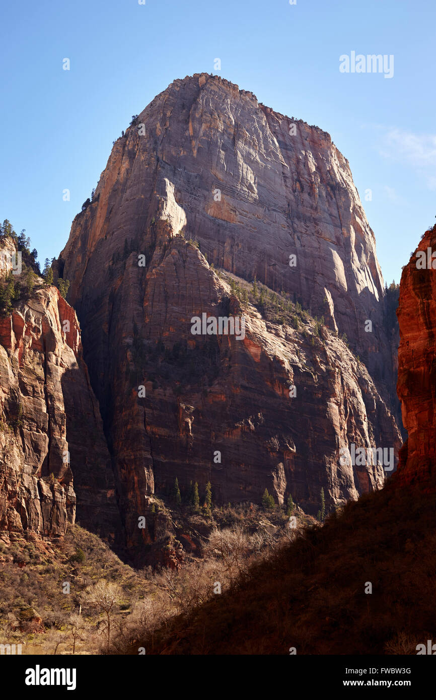 Great White Throne Mountain, Zion National Park, Utah, USA Stock Photo