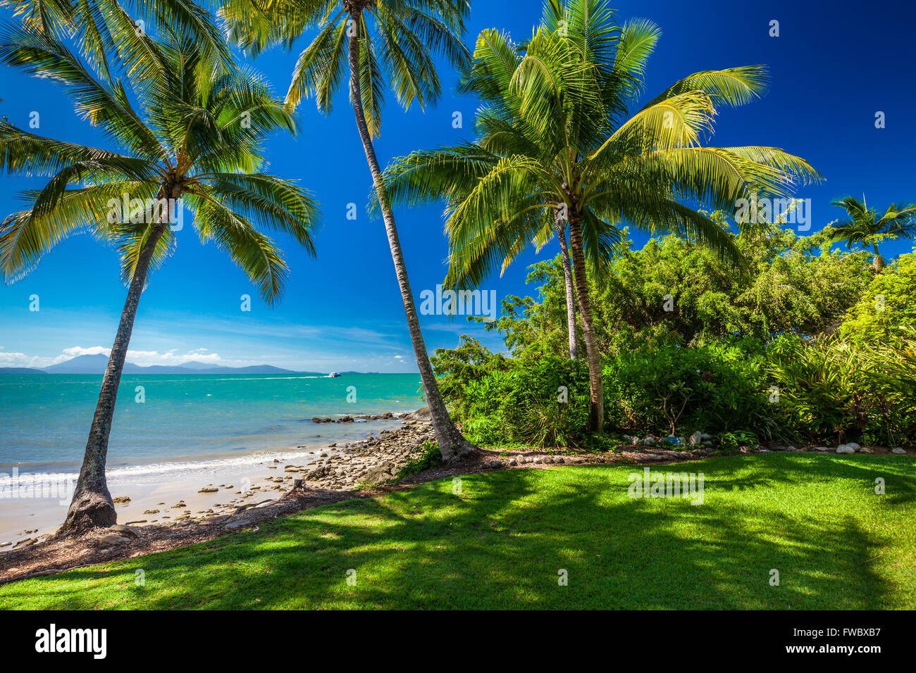 Rex Smeal Park in Port Douglas with tropical palm trees and beach, Australia Stock Photo