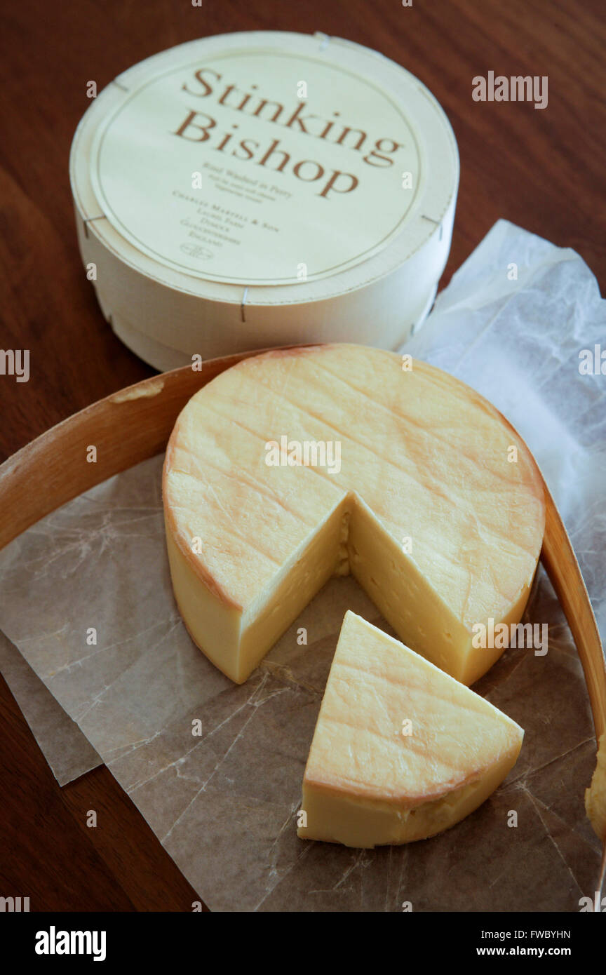 Studio style still life of round of Stinking Bishop cheese made in Dymock Gloucestershire, UK. The rind of the cheese is washed in the perry of the Stinking bishop pear to give it it's unique taste. Stock Photo