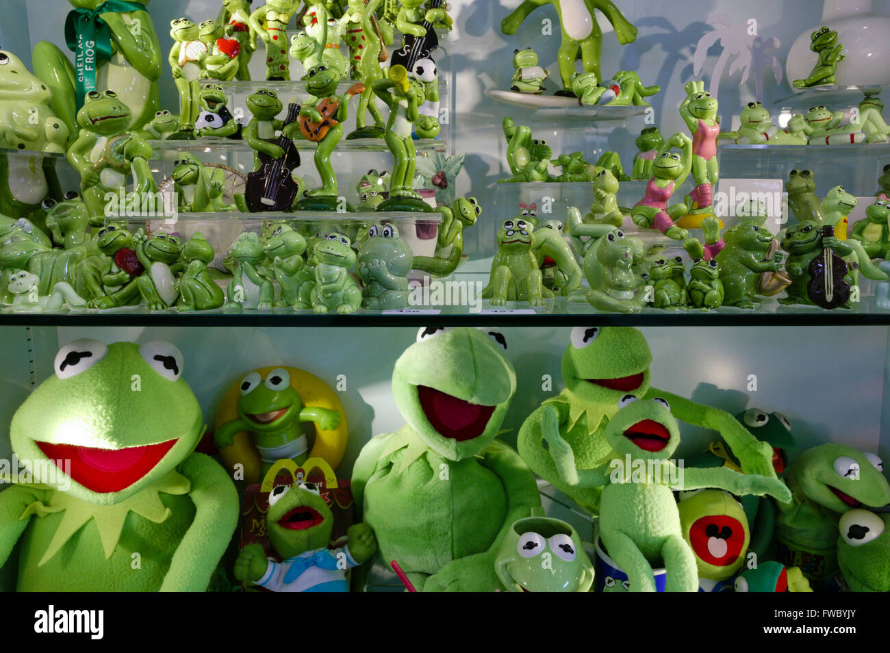 A large collection of Ornamental frogs is incluidng,china,adn furry,toy